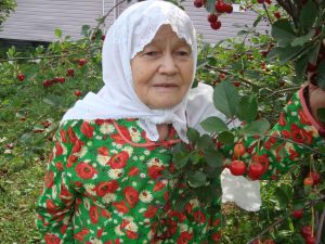 Әби кайнана