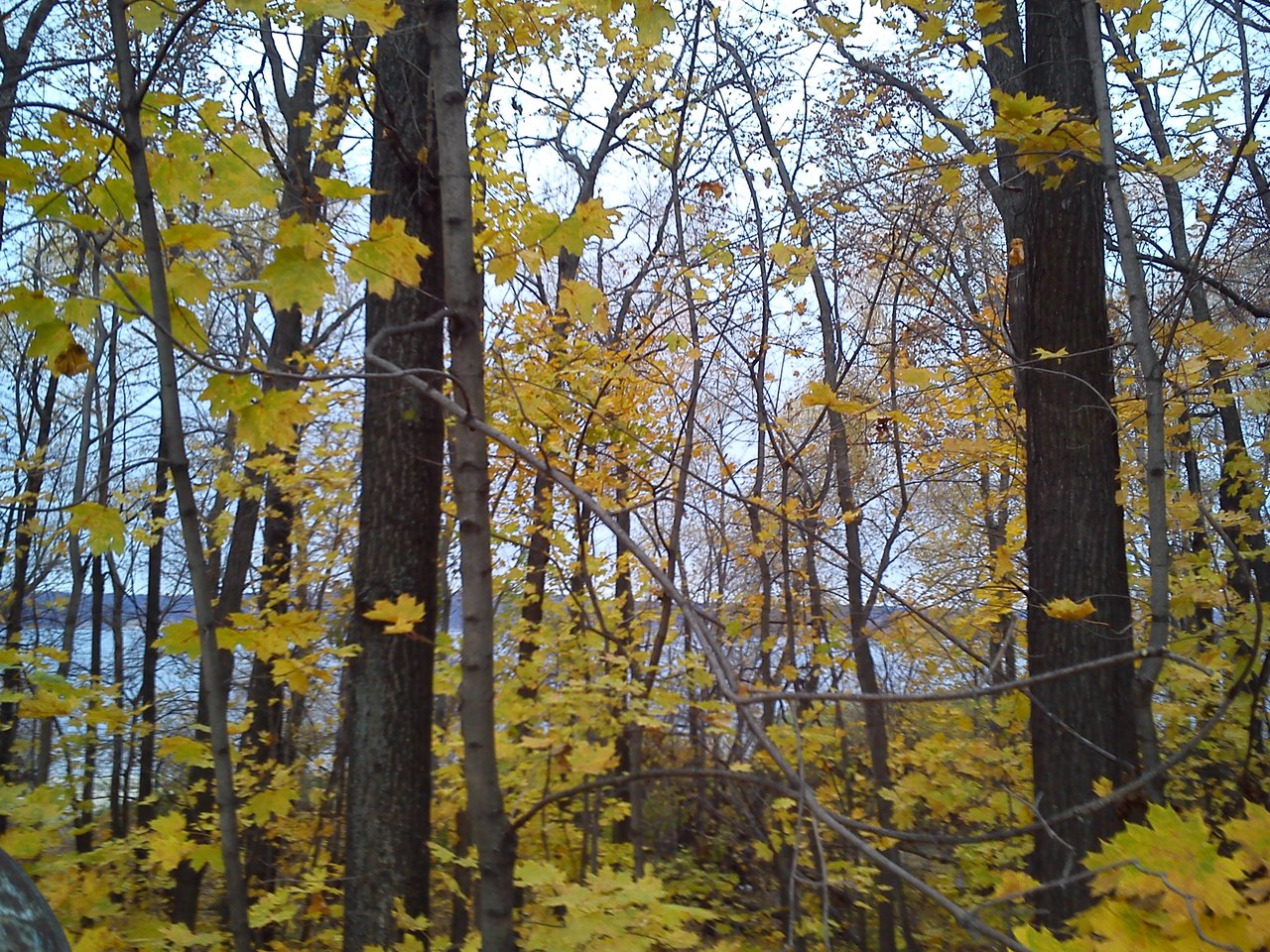 капка